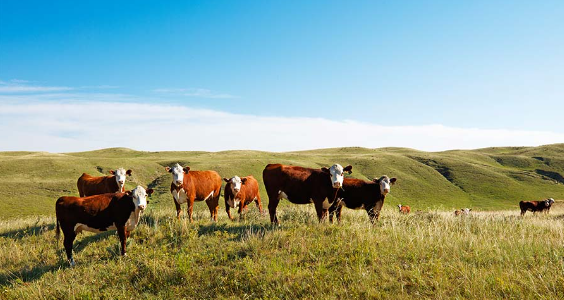 Nebraska