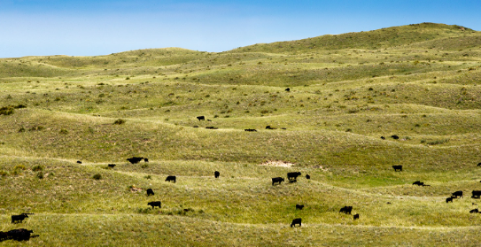 Nebraska